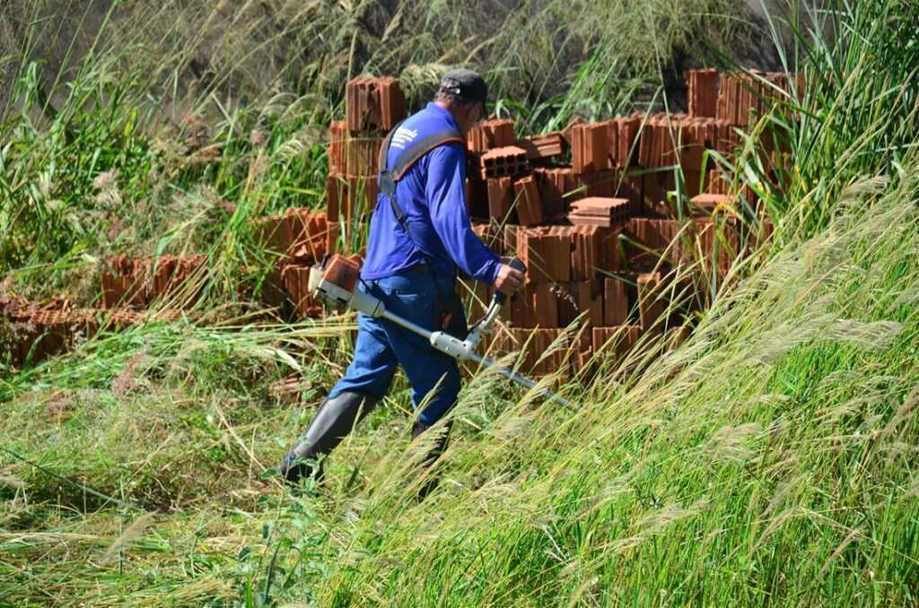 prefeitura-alerta-sobre-importancia-de-manter-terrenos-limpos 