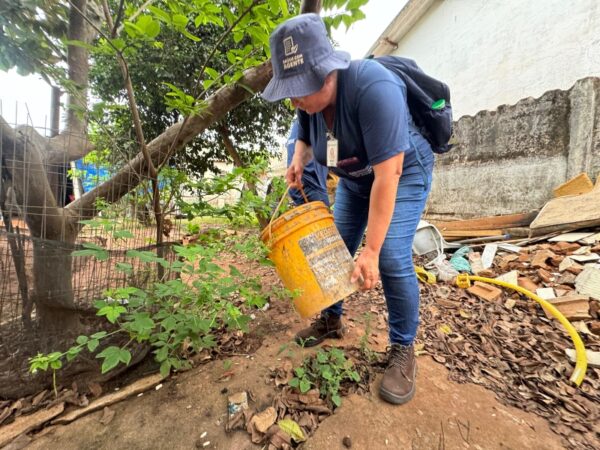 Cecap II: Secretaria da Saúde de Votuporanga faz 1º mutirão contra a dengue de 2025 cecap-ii:-secretaria-da-saude-de-votuporanga-realiza-1o-mutirao-contra-a-dengue-de-2025