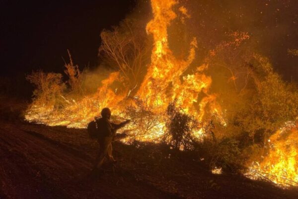 Dino chama União e estados para discutir plano contra incêndios dino-chama-uniao-e-estados-para-discutir-plano-contra-incendios