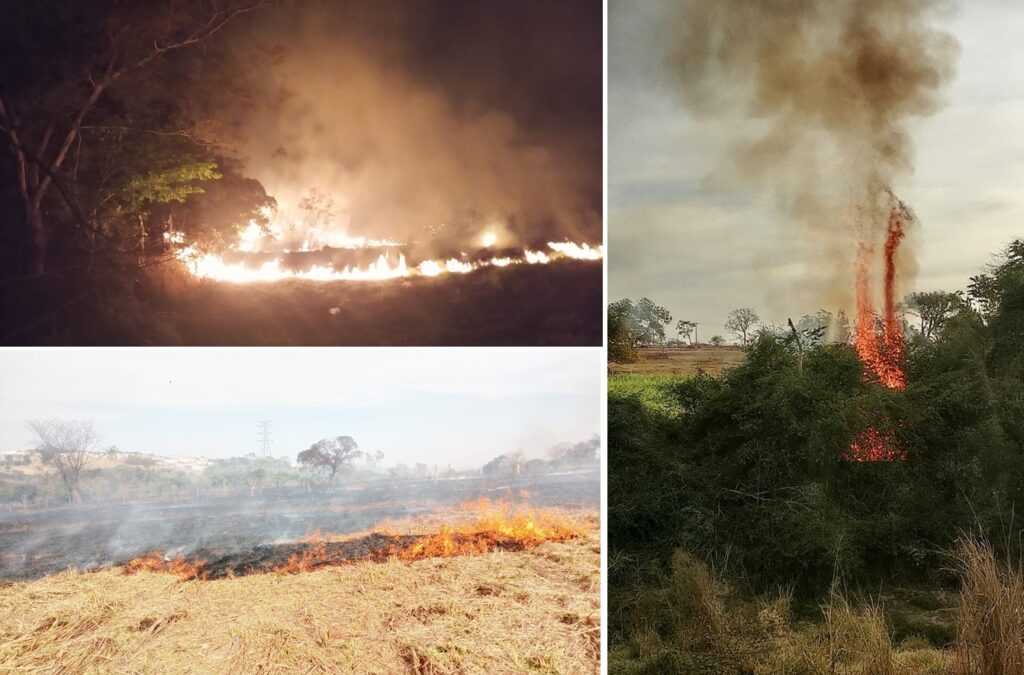 Incêndio de grandes proporções mata animais e devasta reserva ambiental em Votuporanga incendio-de-grandes-proporcoes-mata-animais-e-devasta-reserva-ambiental-em-votuporanga