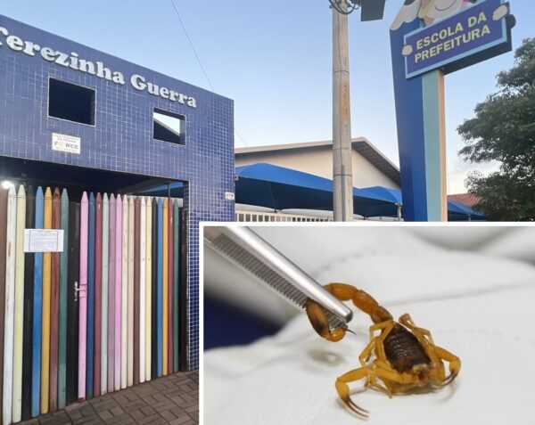 Criança é picada por escorpião em creche de Votuporanga crianca-e-picada-por-escorpiao-em-creche-de-votuporanga