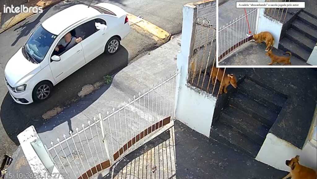 maniaco-do-chumbinho-e-preso-e-multado em-r$-36-mil por-envenenar-animais-em-jales 