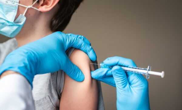 Anvisa define vírus de vacinas da gripe para 2026. Entenda anvisa-define-virus-de-vacinas-da-gripe-para-2026.-entenda