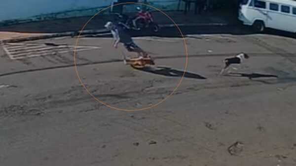 Morre idoso ‘atropelado’ por cachorro que corria na rua em Piacatu morre-idoso-‘atropelado’-por-cachorro-que-corria-na-rua-em piacatu