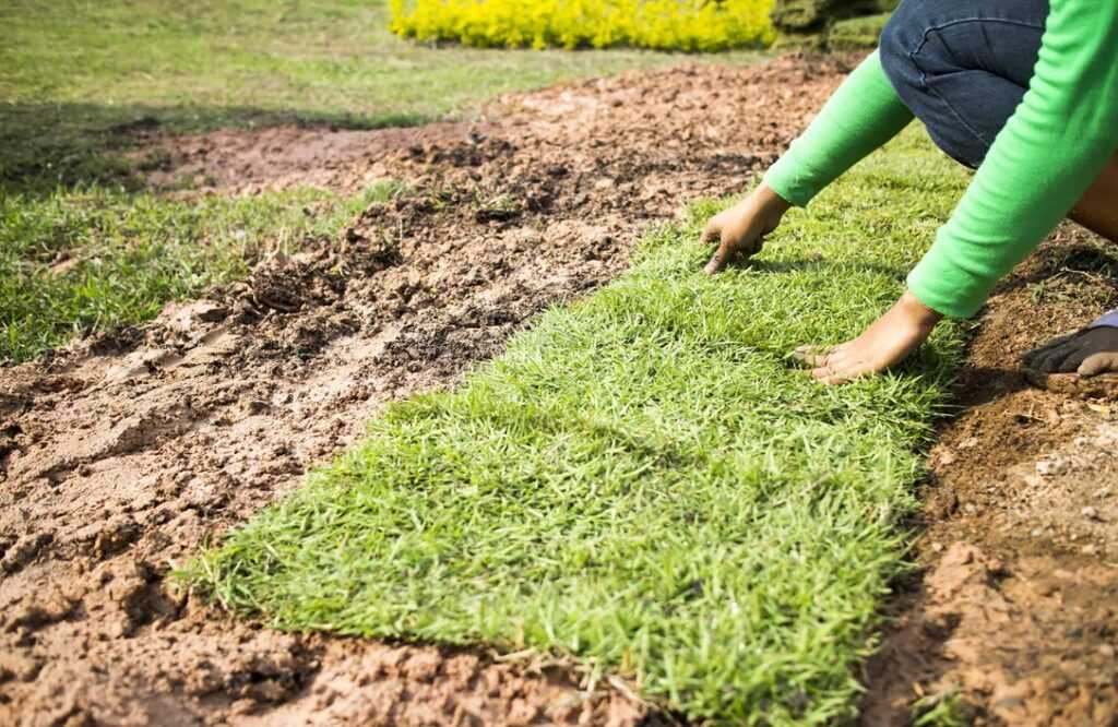 prefeitura-de-votuporanga-pode-gastar-mais-de-r$-309-mil-para-comprar-grama 