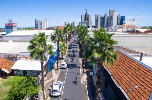 prefeitura-realiza-poda-nas-palmeiras-da-rua-amazonas-neste-sabado 