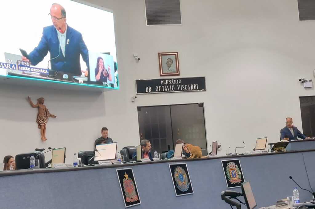 Câmara pauta criação do selo Empresa Amiga dos Autistas camara-pauta criacao-do-selo-empresa-amiga-dos-autistas